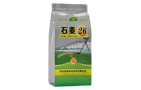 石麦26