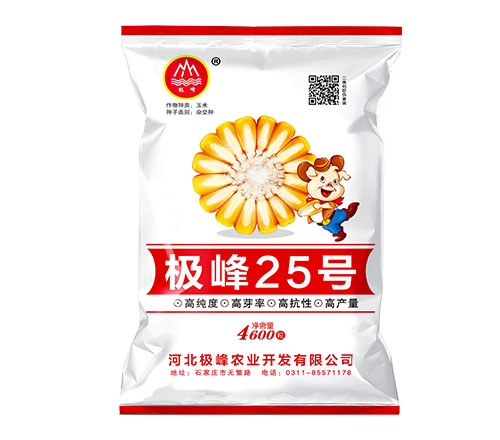 极锋25号B