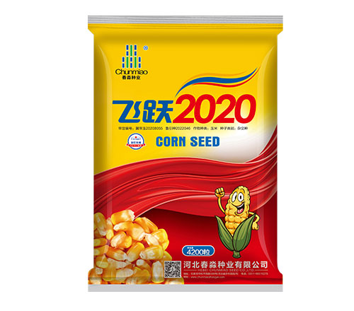 飞跃2020
