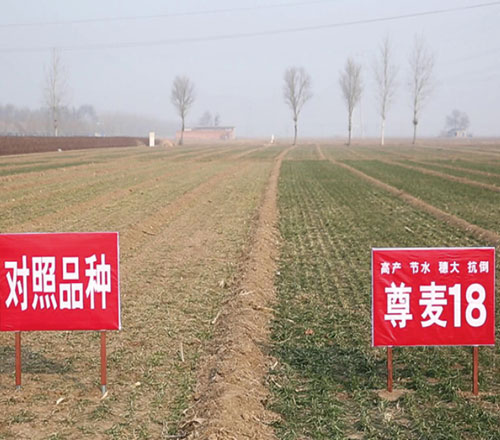 1765094991958238.jpg 500-440-产品图-3.jpg