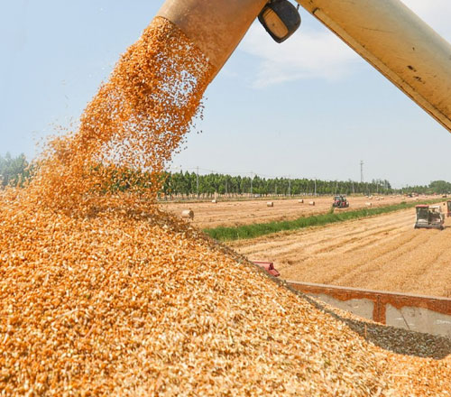 1765278431500480.jpg 500-440-产品图-4.jpg