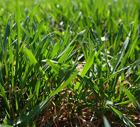 1765332339565757.jpg 550-500-产品图3.jpg