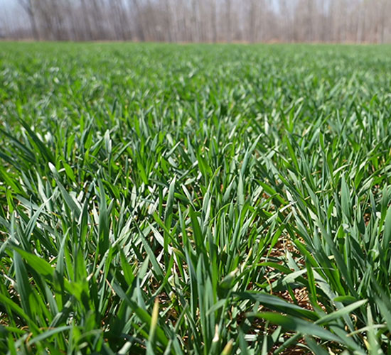 1765332349310613.jpg 550-500-产品图4.jpg