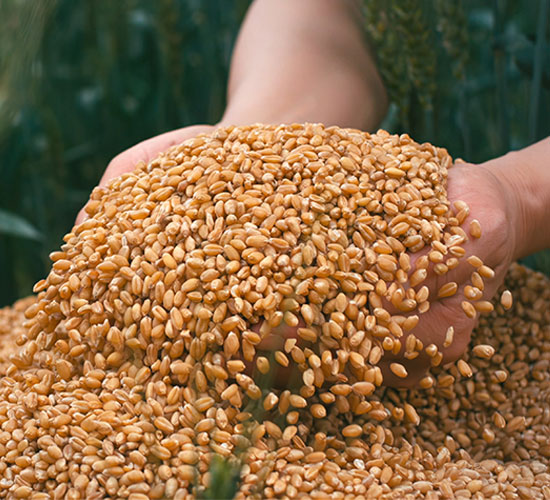 1765332357396037.jpg 550-500-产品图5.jpg