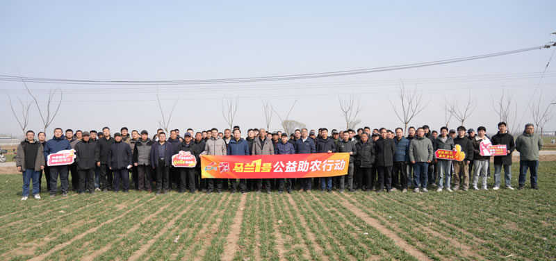 “四新助农 麦向丰收”开春第一课丨田间课堂助力小麦春管提质增效