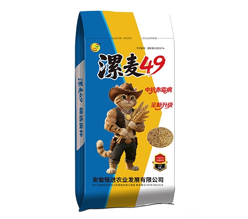 漯麦49