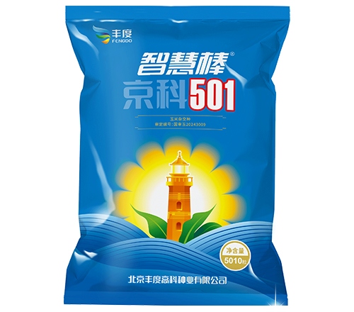 京科501