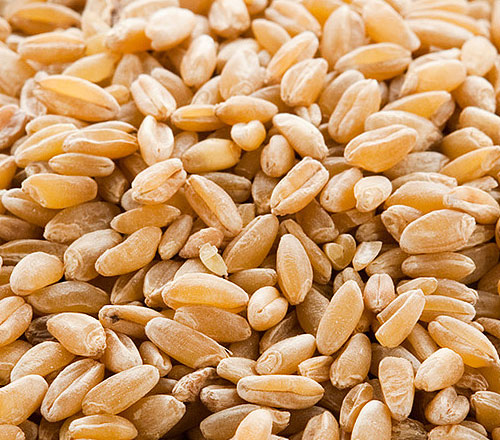 1770802728887533.jpg 500-440-产品图-5.jpg