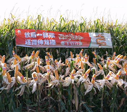 微信图片_20260922151431.jpg